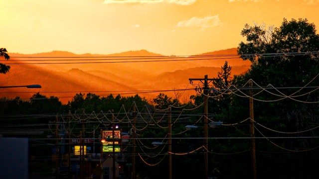 wordpresssaturation (1)