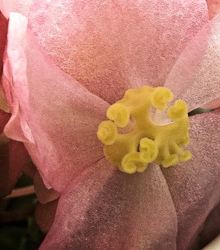 photochallengethree 3