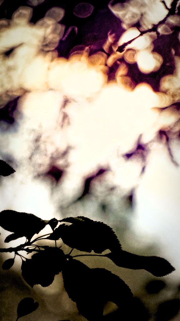 weeklyphotochallenge