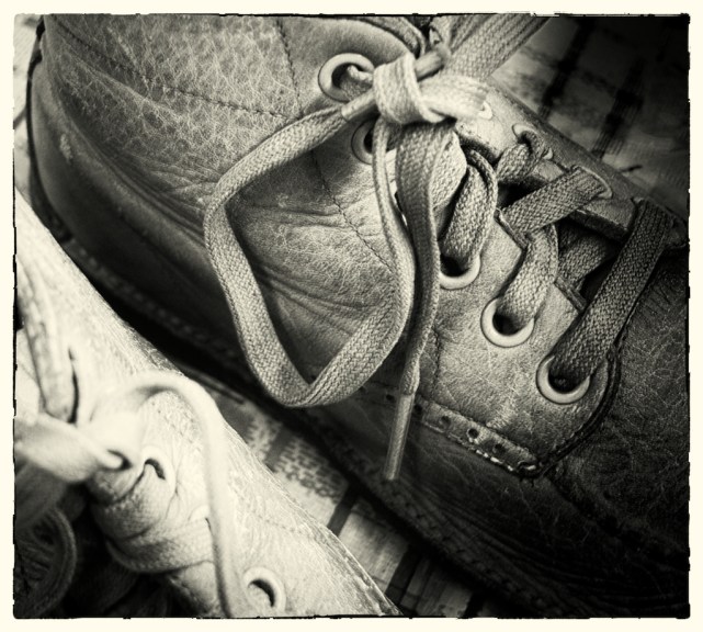 weeklyphotochallengezigzag