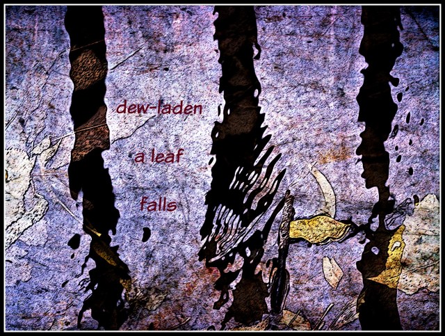 photochallengewaterway2