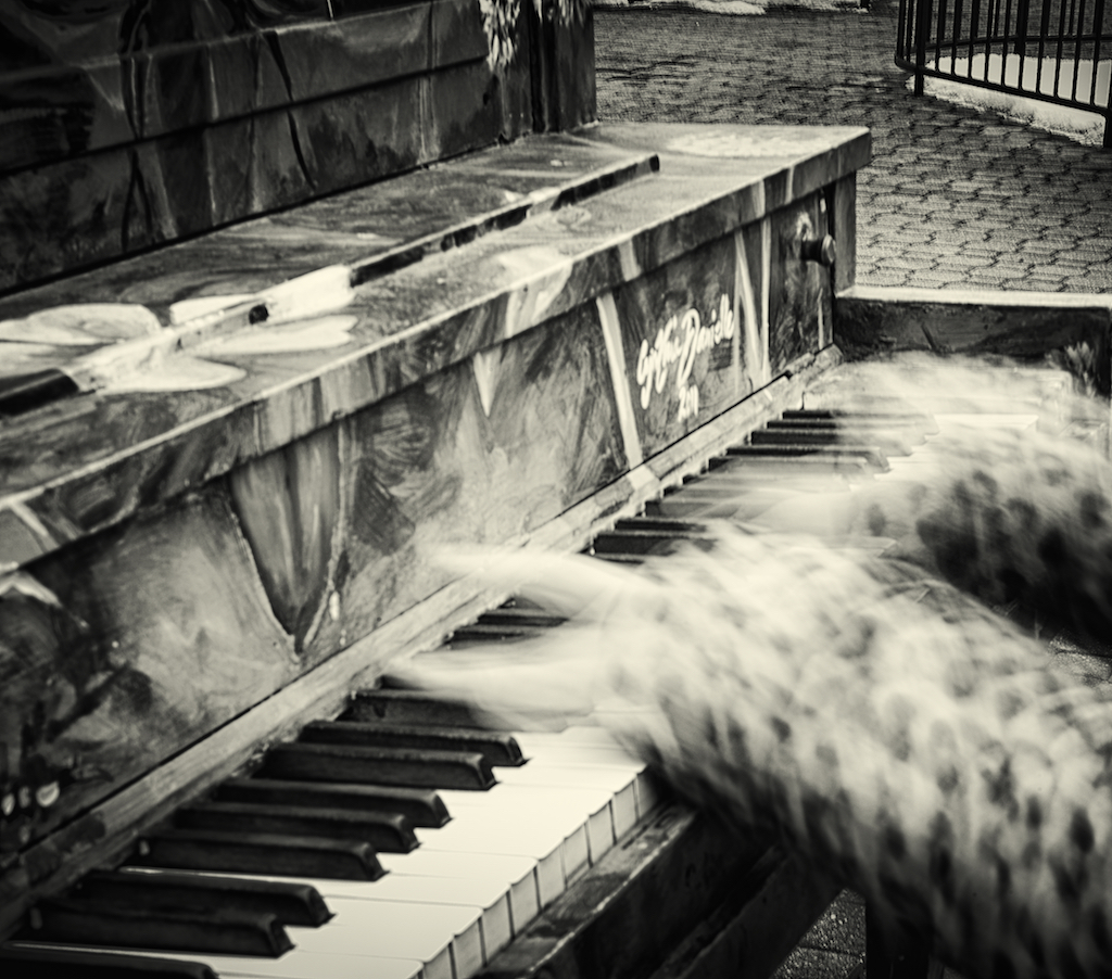 kofford_b_handsacrosskeyboard 2