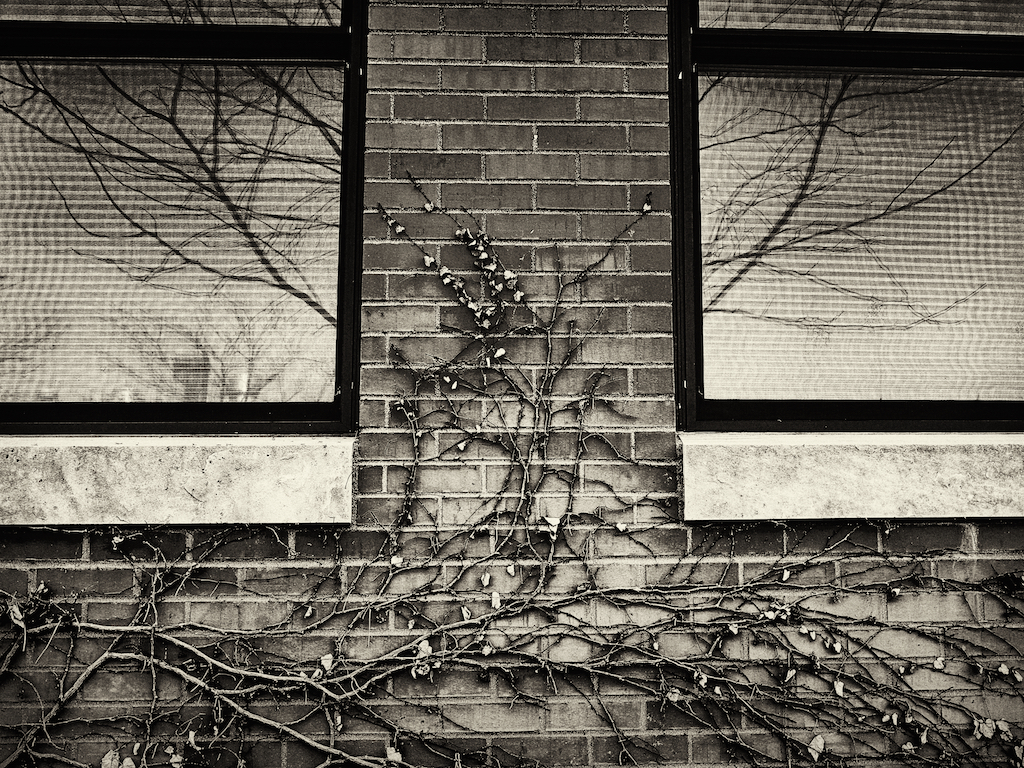 photo101glasssquared2