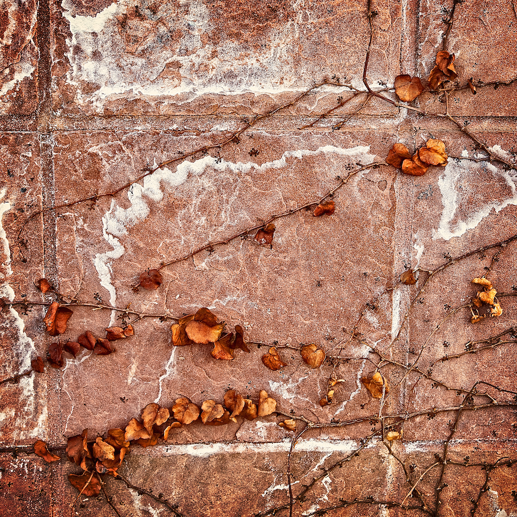 75mm f/7.1 1/30 sec ISO 100