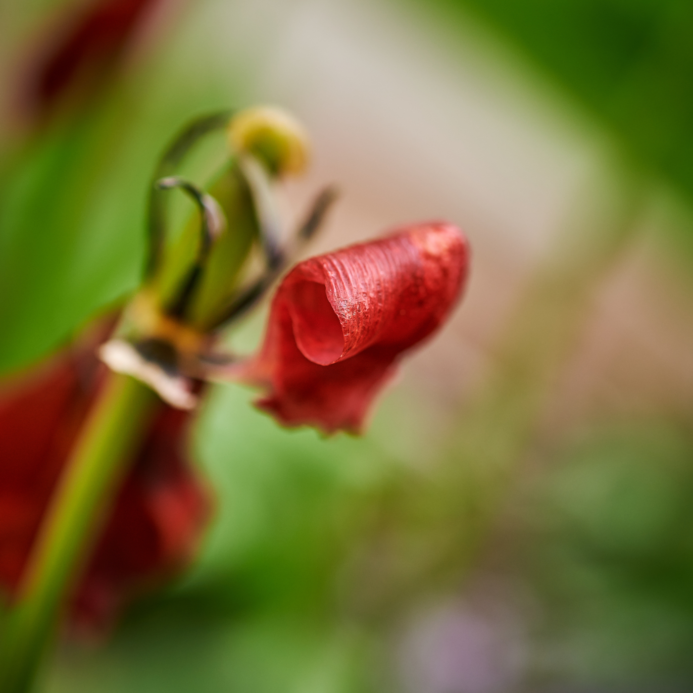 Weeklyphotochallengeenvelope