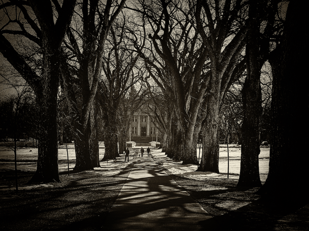 weeklyphotochallengefuture