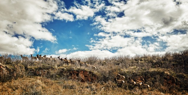 weeklyphotochallengelandscape