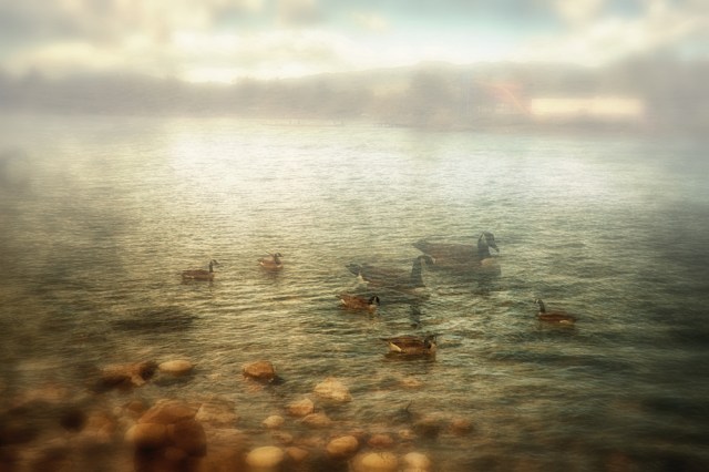 100days...doubleexposure