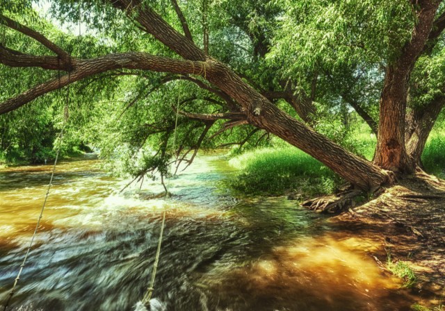 DSC_3848Nonewpcearth