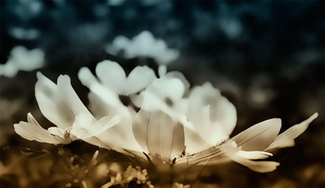 dreamingdoubleexposure