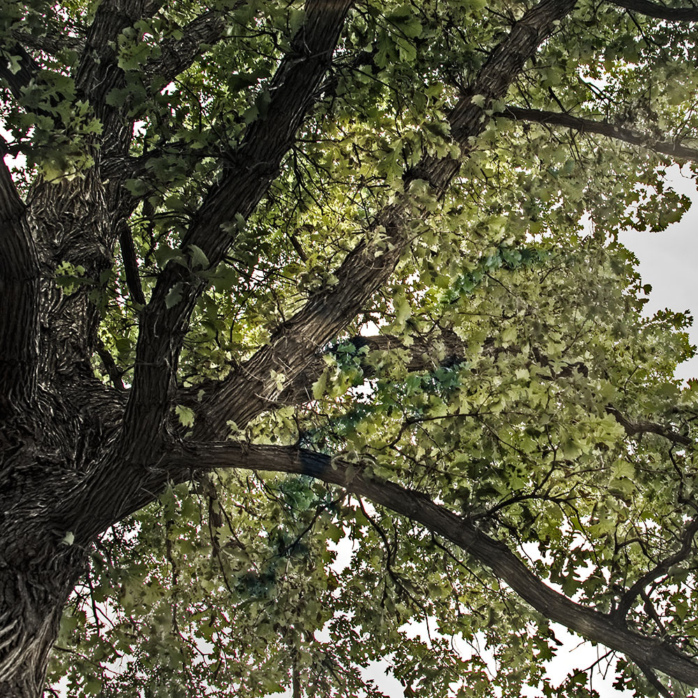 weeklyphotochallengeup