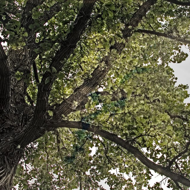 weeklyphotochallengeup