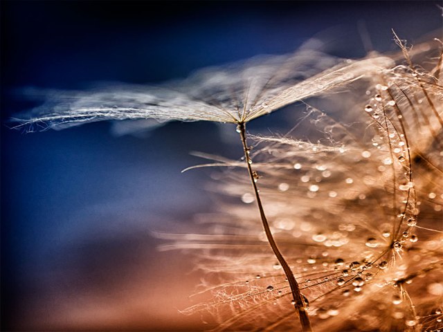 brendakofford_dreamcatcherl