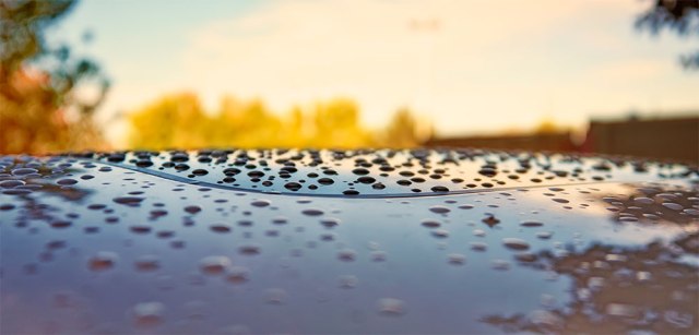 earlymorningraindrops
