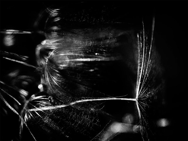 brendakofford_evanescent