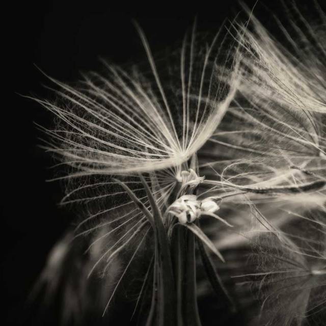 giftsfromheavenryokan