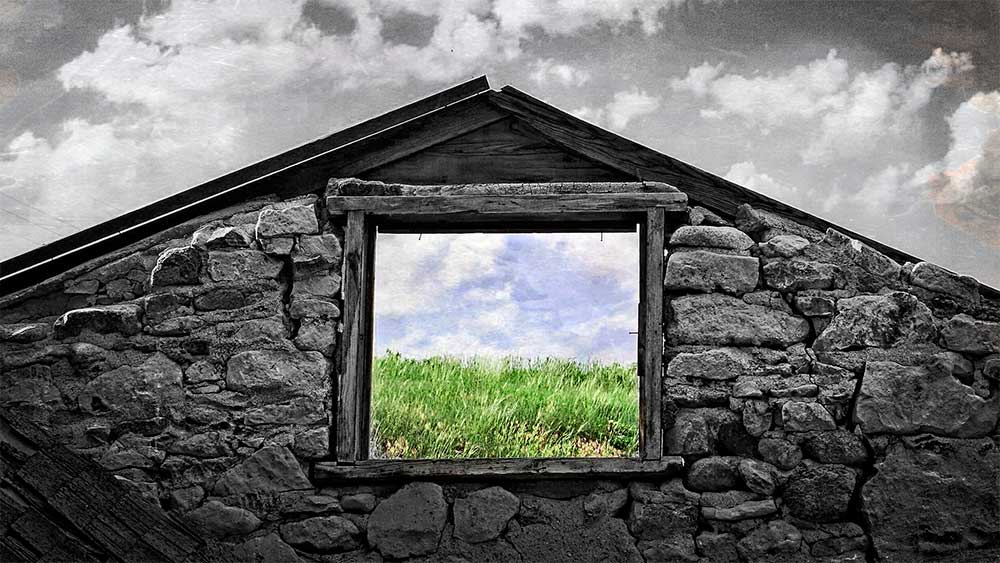 windowselectivecoloring