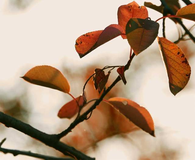 EmptyName-41colorweb