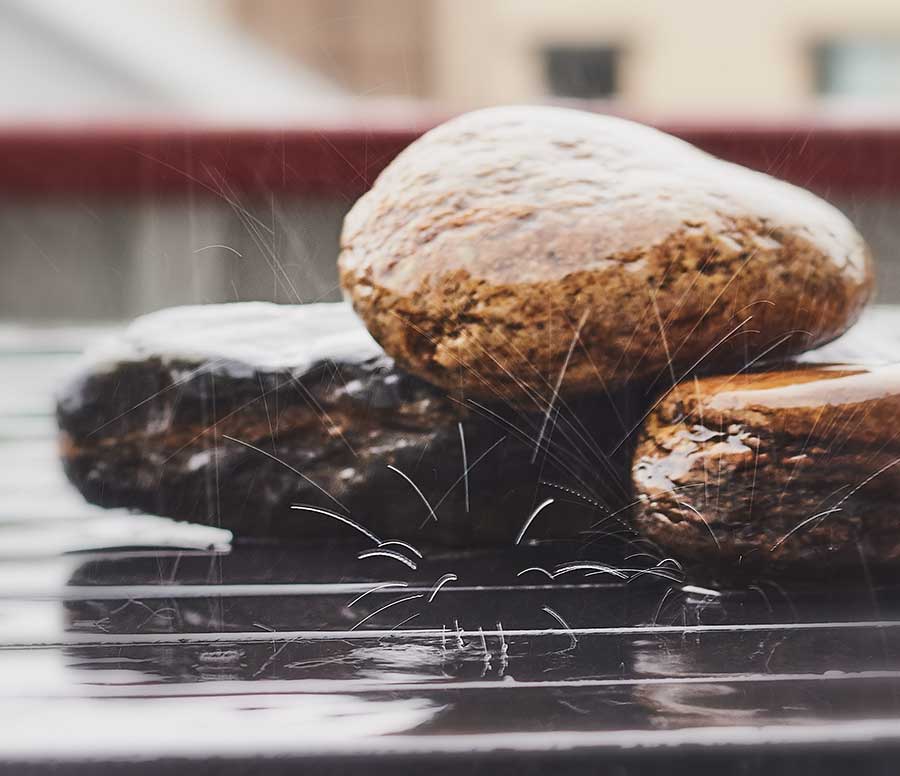 EmptyName-67colorweb