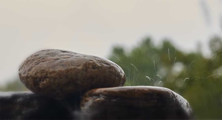 EmptyName-68colorweb