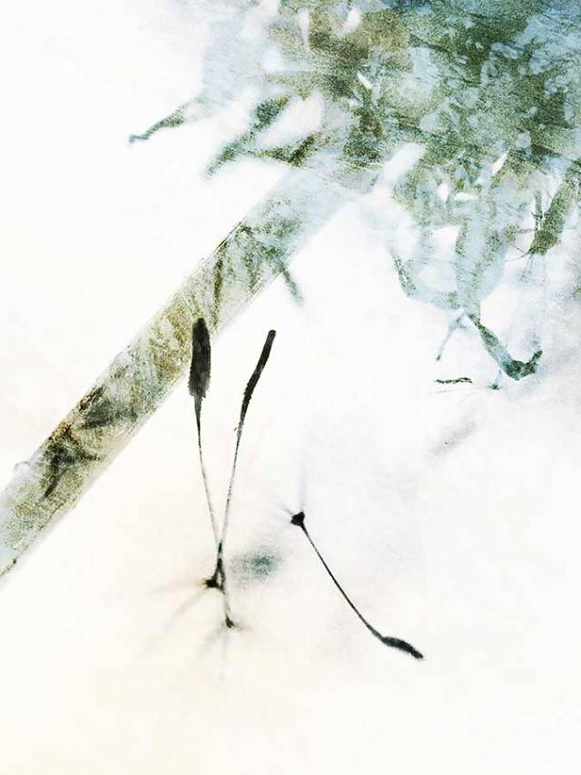 brendakofford_sojournIIweb