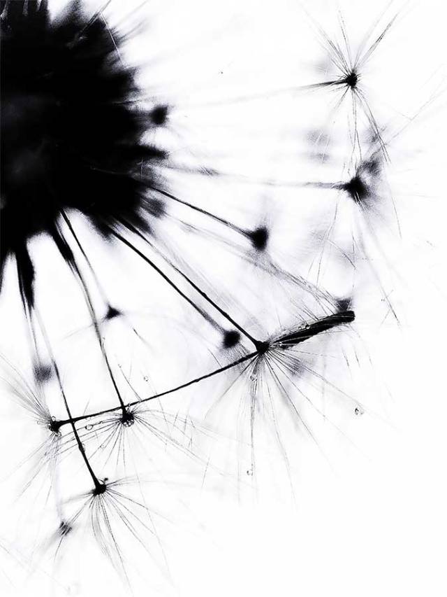 brendakofford_thelastembraceweb