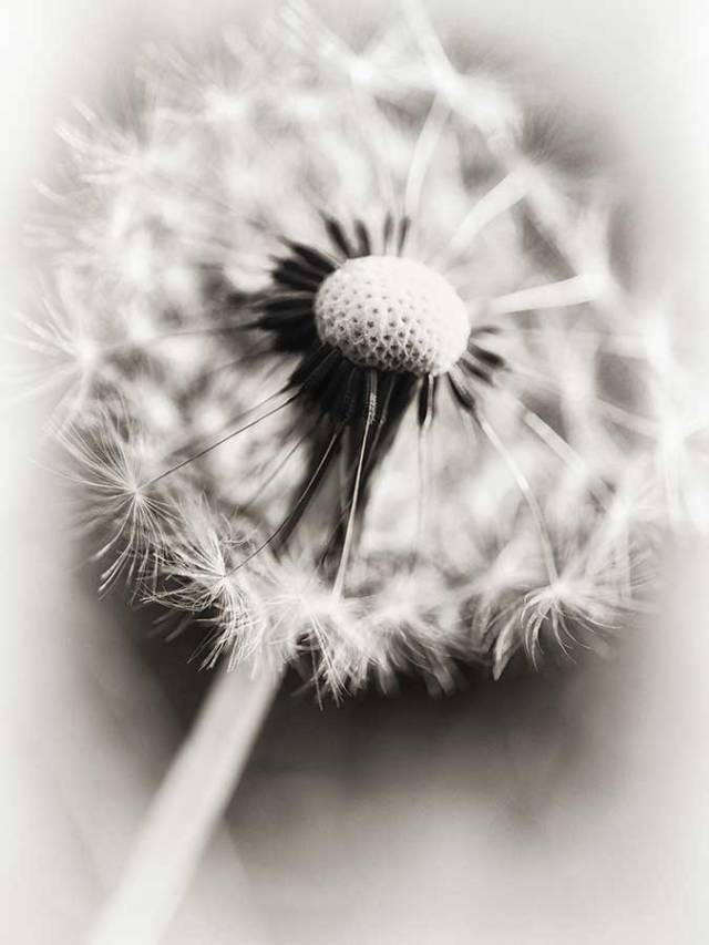 brendakofford_emigtate1web