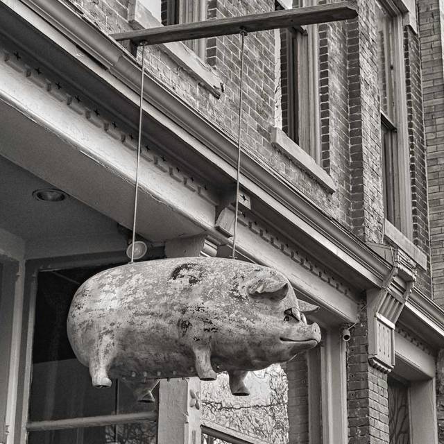 fortcollinswalkabout-1web