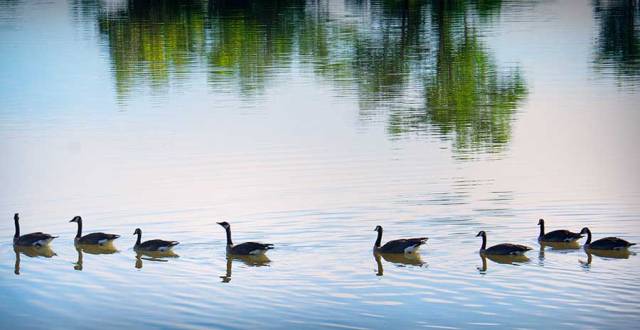 rythumsymmetrical4web