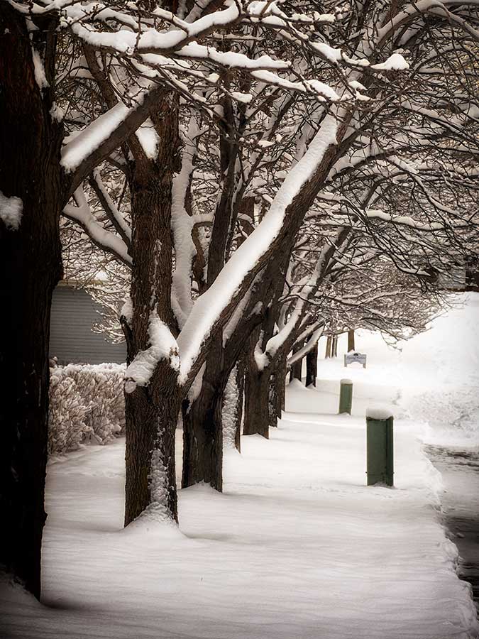 thephotographer-12web