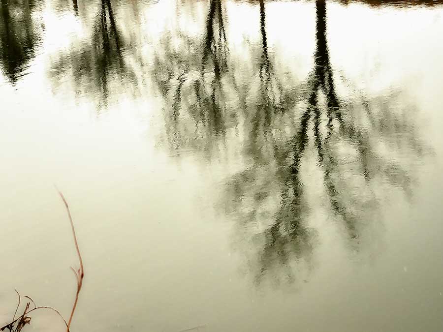 brendakofford_reflectionsweb