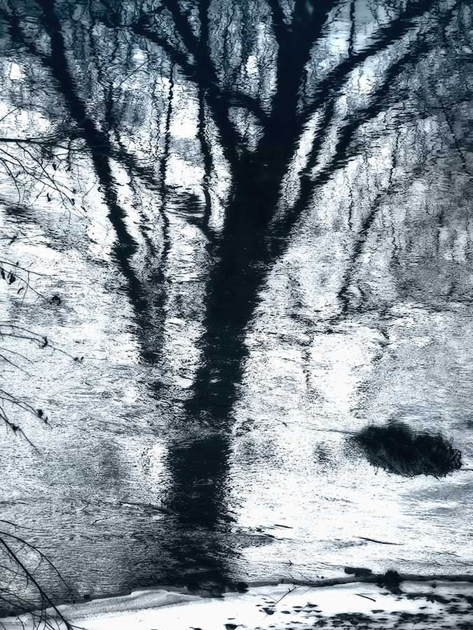 rythumflowingreflectionsweb