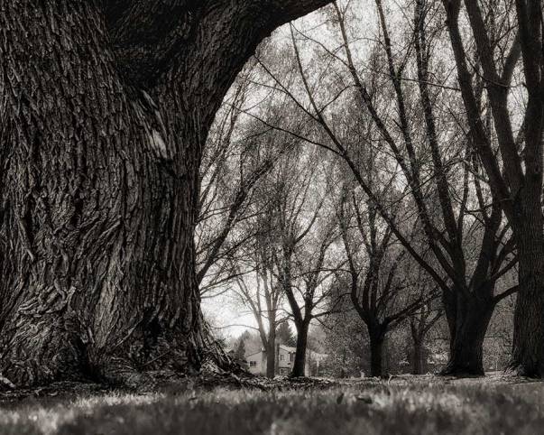 photostudylowangle-2web