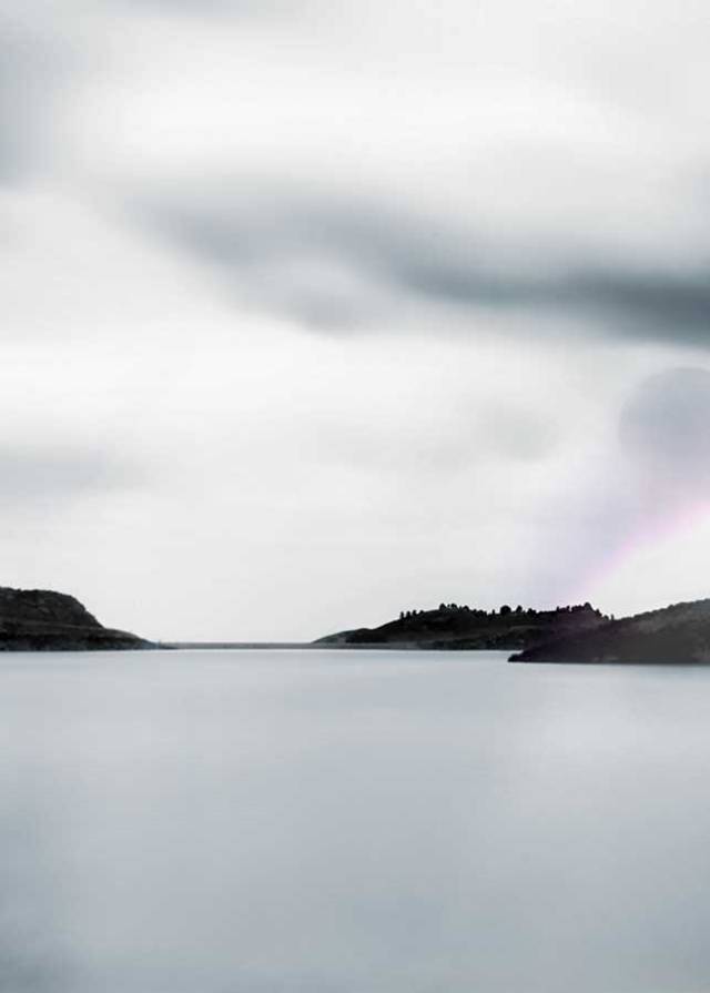 brendakofford_horsetoothweb