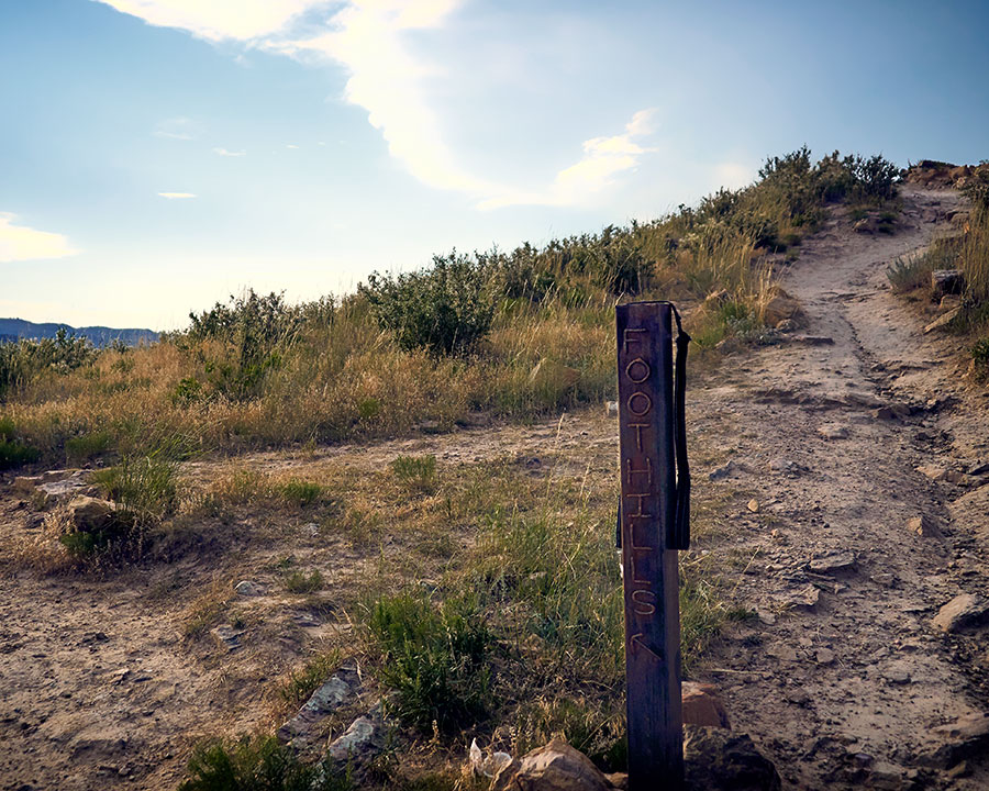 horsetooth-8web