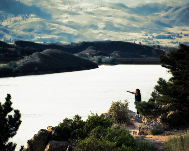 horsetoothpointingweb