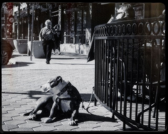 photostudystreetcomp9web