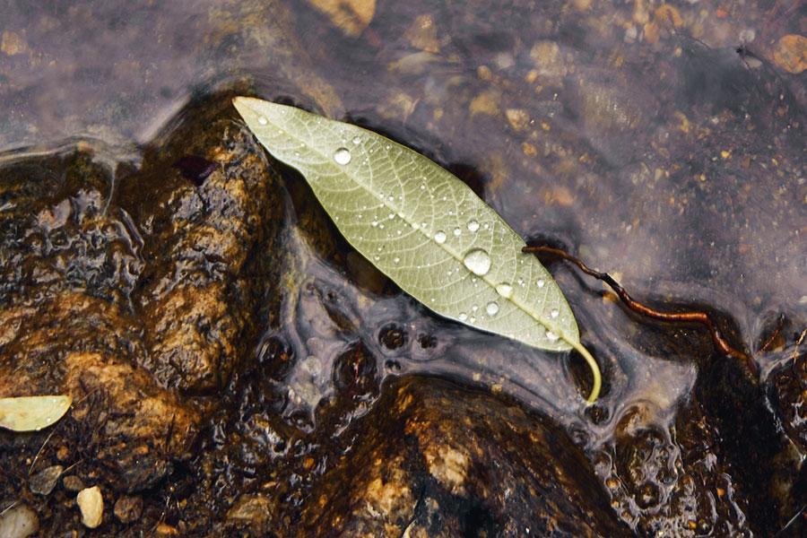 contemplativephoto-3web82118