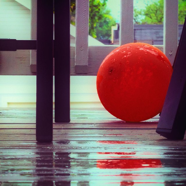 contemplativephotoredballweb82118