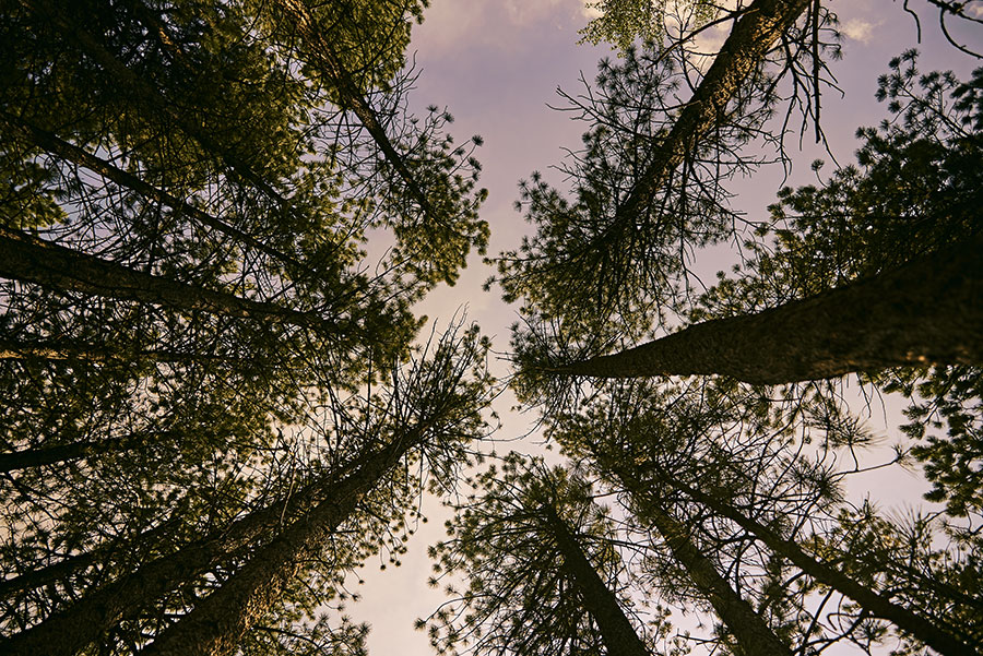 poudrecanyon-4web81318