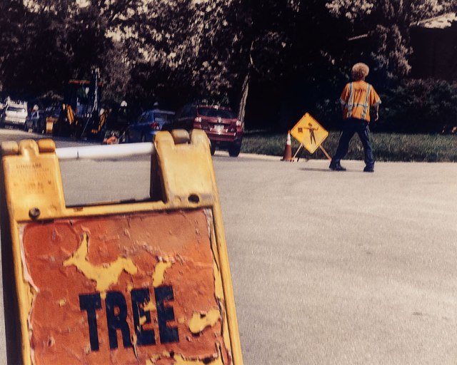 sonycity8919dweb91018