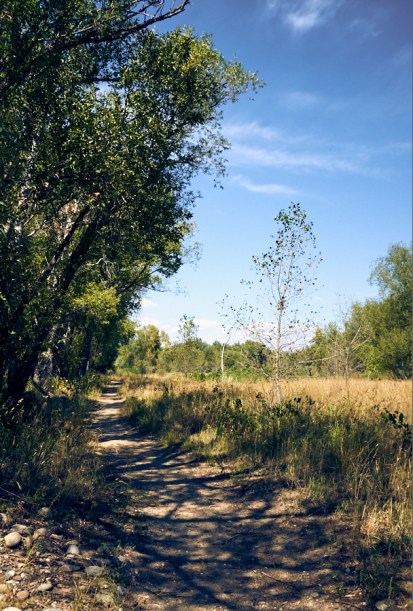 contemplative photography 11