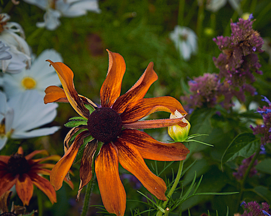 contemplative photography 19