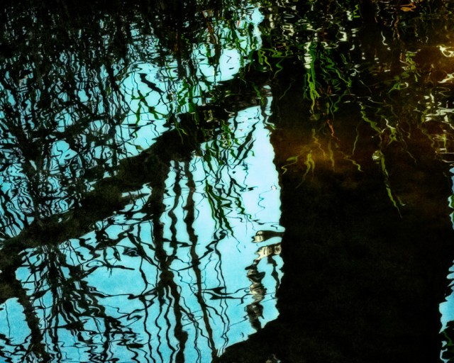 contemplative photography 20