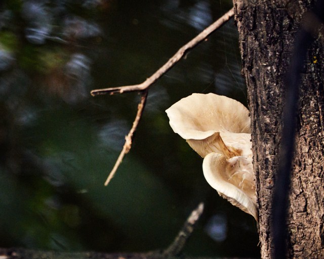 contemplative photography 2