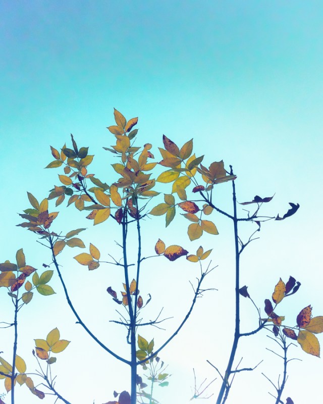 contemplative photography 23