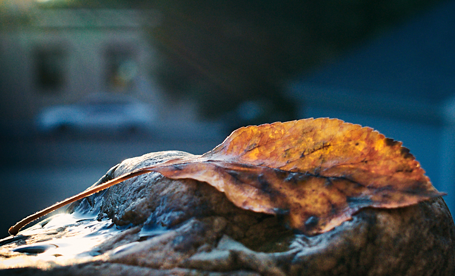 contemplative photography 4