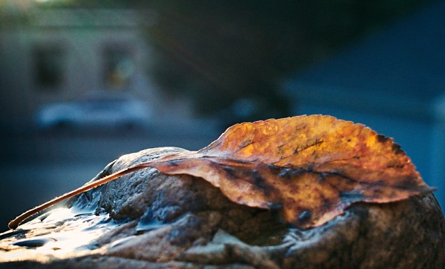 contemplative photography 4