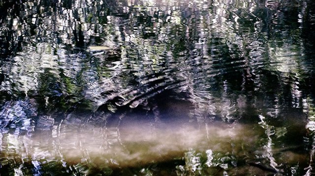 contemplative-photographyreflectionsweb91618