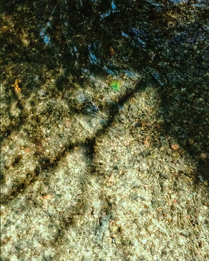 contemplative-photographyspringcreekweb92818